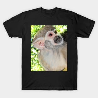 Monkey T-Shirt